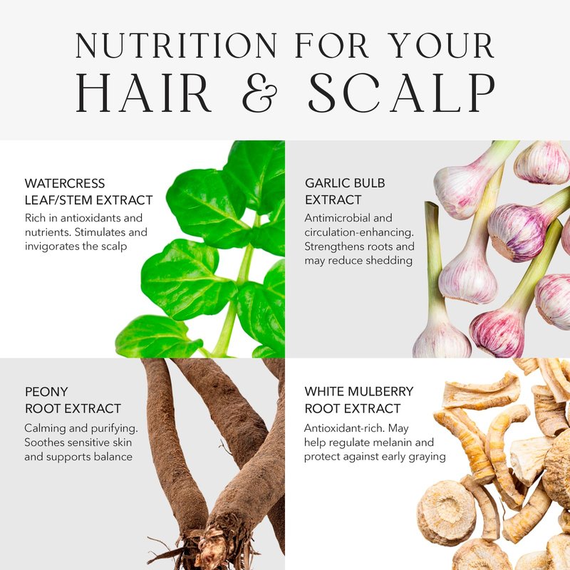Kiwabi Root Beauté Itchy Scalp Shampoo – Sulfate-Free Natural Shampoo for Dry, Oily & Sensitive Skin – ph-Balanced Scalp Treatment with 23 Botanicals for Hair Growth & Hydration