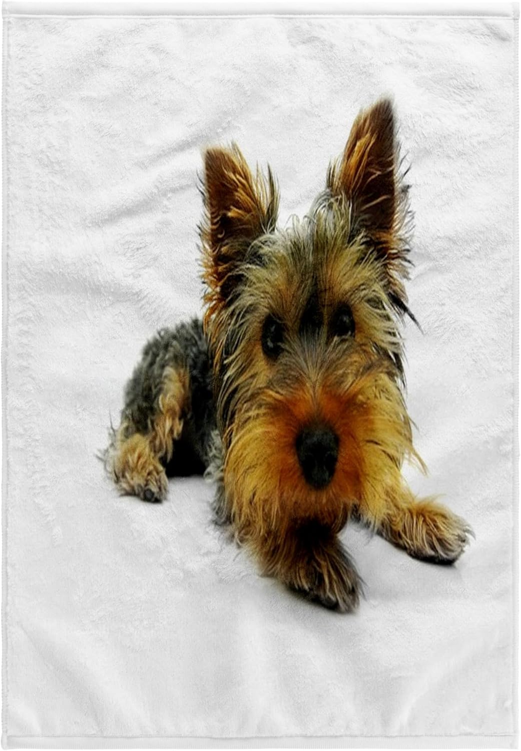 3D Rose Yorkie Portrait Towel - Soft Microfiber, 15" x 22"