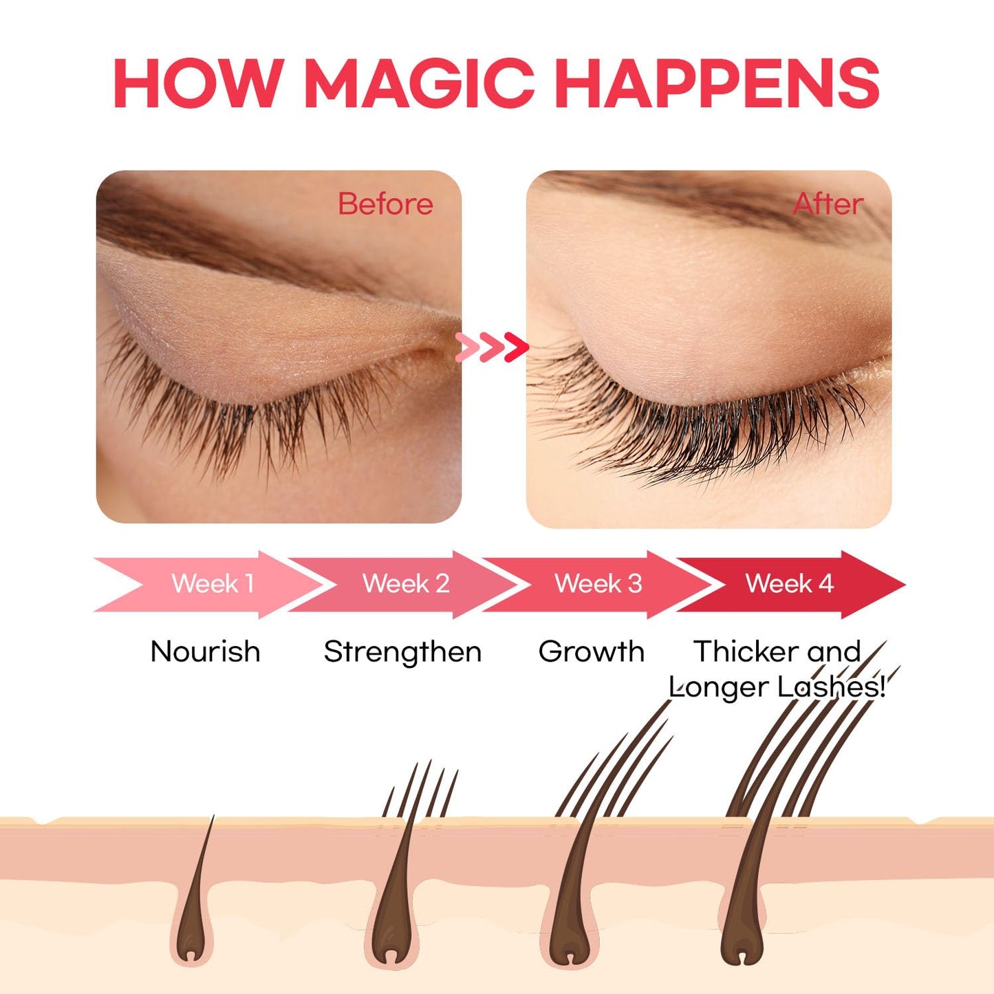 Eyelash Growth Serum - Natural Formula for Longer, Fuller Lashes | Vegan & Cruelty-Free, 5mL, 6-Month Supply
