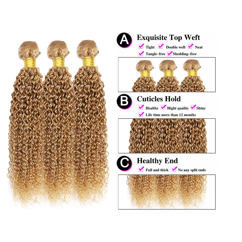 Blonde Bundles Color 27 Human Hair Honey Blonde Kinky Curly Human Hair Weave No Tangle Hair Extensions For Women Brazilian Unprocessed Virgin Hair 8 10 12 Inch