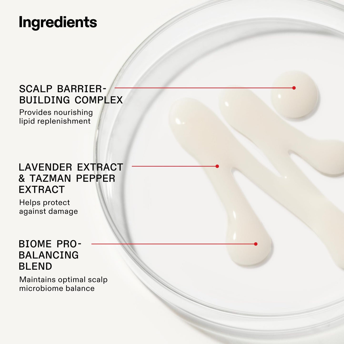 Olaplex Wash & Shine Fine Hair Kit: Nº. 4FINE, Nº. 5FINE, Nº. 0.5, Shampoo & Conditioner Set | Gently Cleanses to Volumize & Strengthen | Hydrates & Soothes Scalp | For Coily, Curly, Straight, & Wavy