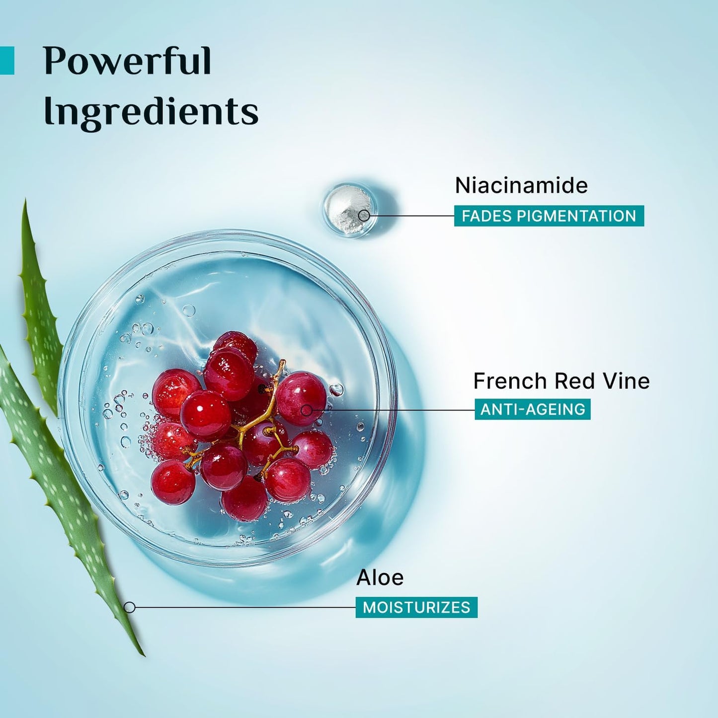 Pilgrim French Red Vine Face Mist - Niacinamide & Aloe Hydrating Toner | Oil Balance & Pore Care | 3.38 Fl Oz (100ml)