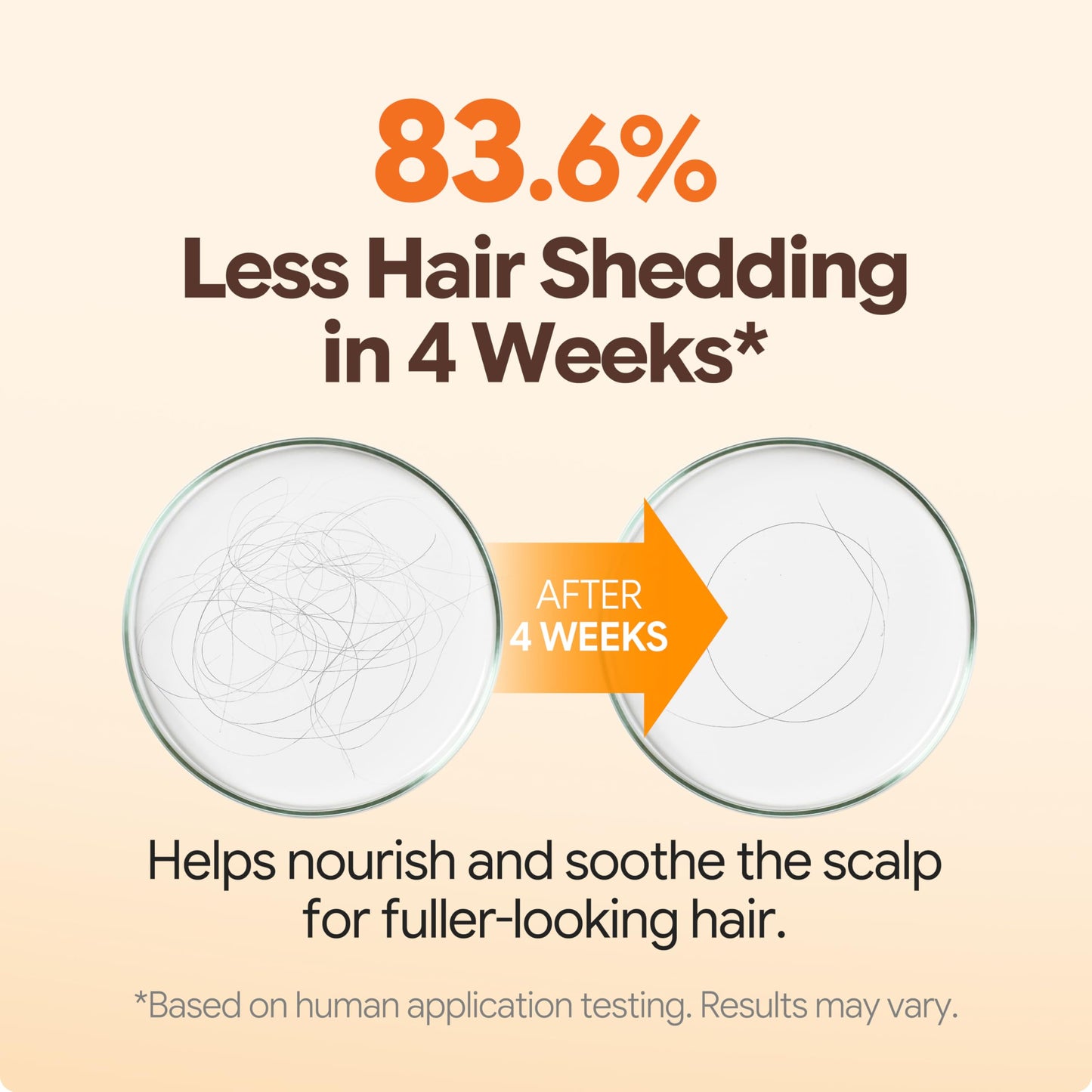 Morethan8 Korean Hair Thickening Shampoo with Matsutake mushroom, for Hair Loss and Hair growth – 300ml 100% Vegan, Paraben&Sulfate&Silicon Free - more than 8