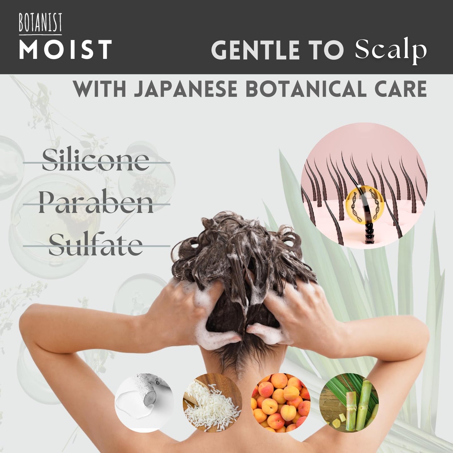 Botanist Hydrating Shampoo for Men, Curly Hair Shampoo for Women with Collagen, Jojoba Oil Extract & Keratin from Japan, Paraben & Sulfate Free SHAMPOO with Pump, Apricot& Jasmine 15.5Fl Oz MOIST 2EA