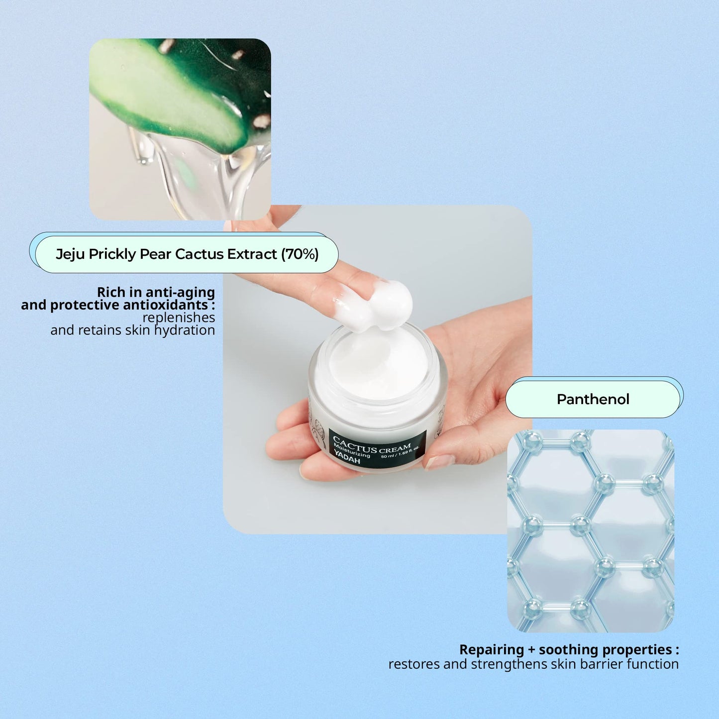 YADAH Cactus Cream 1.69 Fl.Oz. – Facial Hydrating Moisturizer Forming Moisture Barrier for Sensitive Dry Skin