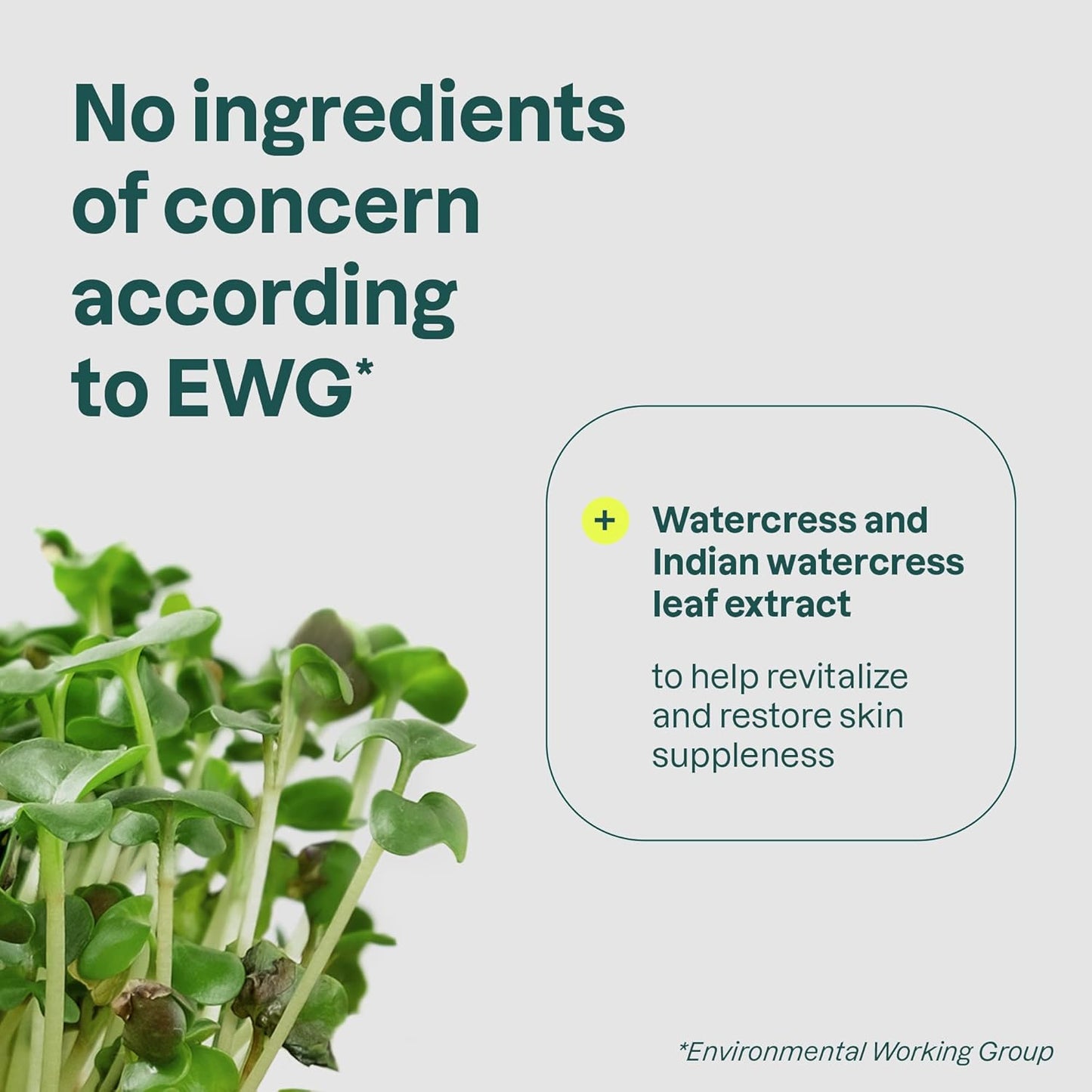 ATTITUDE Vegan Foaming Hand Soap Bundle - Coriander & Olive, 10 Fl Oz + 35.2 Fl Oz Refill