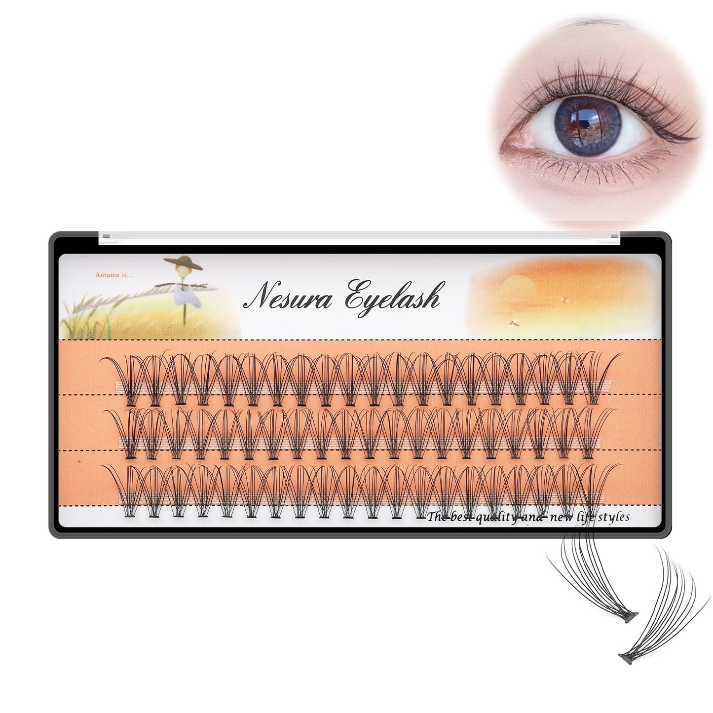 BODERMINCER 10 Root 60pcs 8-10-12-14-16mm Mixed Black Handmade False Eyelashes Natural Long Individual Eyelashes Extension Fake Lashes Makeup Beauty Cosmetic (5 PACKS-11MM)