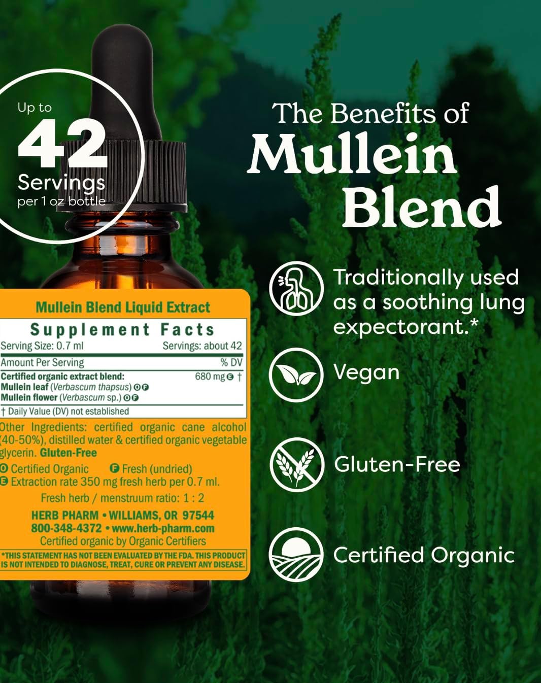 Mullein Blend - Organic Respiratory Support & Expectorant | Fast-Absorbing 1 oz