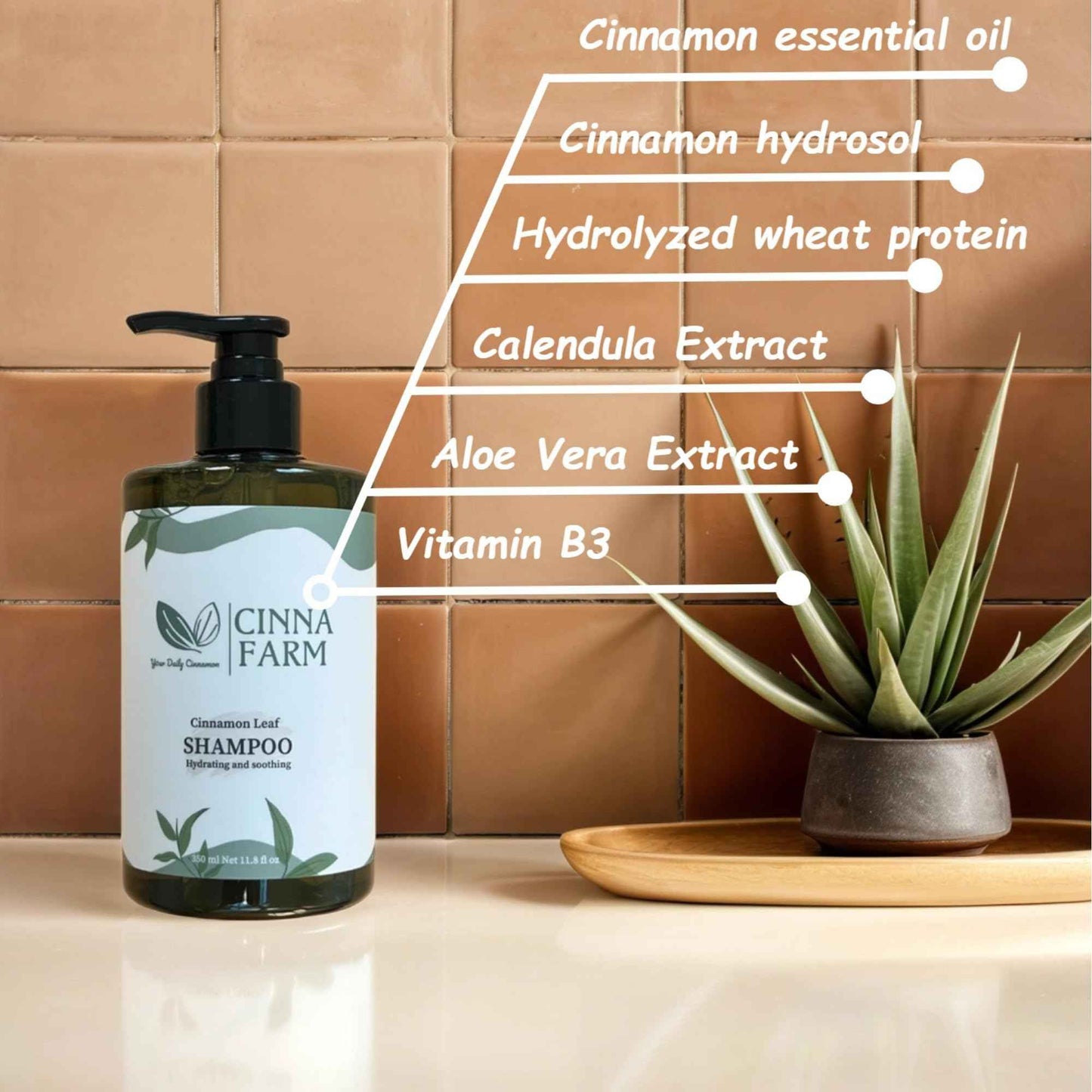 Haircare gift set for Xmas, Valentine's day, Mother's day, Birthday. No artificial fragrance, fulfates and silicones free, natural ingredients, color safe, cinnamon scent