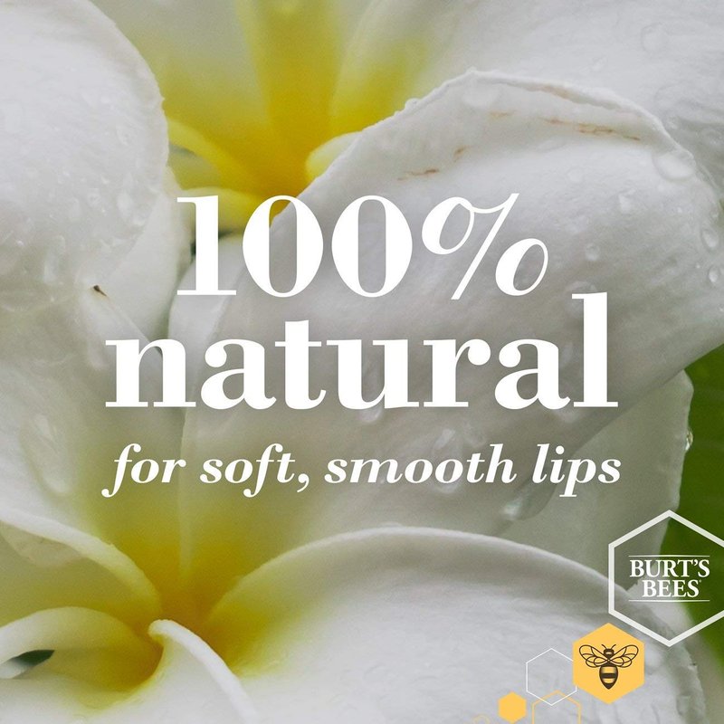 Burt's Bees Lip Balm, Moisturizing Lip Care, for All Day Hydration, 100% Natural, Ultra Conditioning with Shea, Cocoa & Kokum Butter
