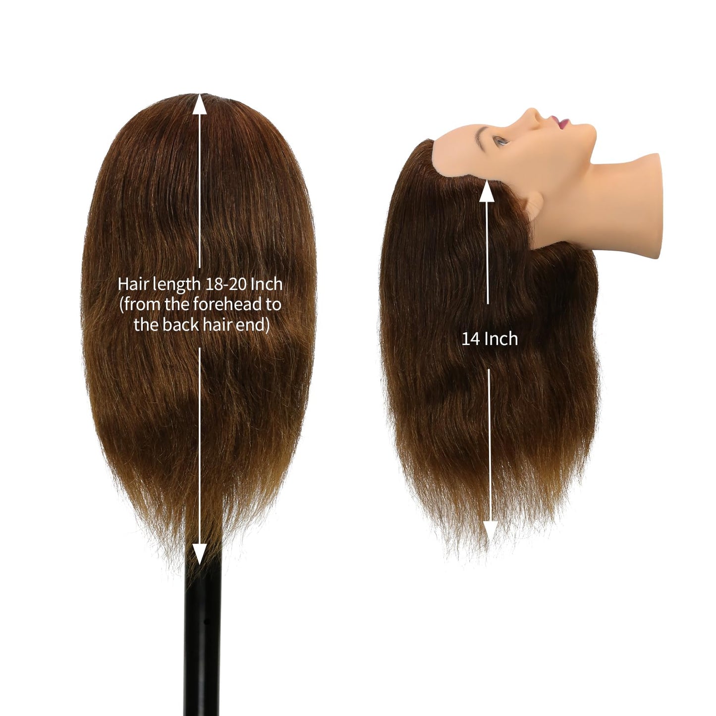 Mannequin Head Human Hair 14 Inch 100% Real Human Hair Hairdresser Practice Training Head Cosmetology Mannequin Head Can be Bleached And Dyed With Small Stand And Alligator Clip（14 Inch Dark Brown）