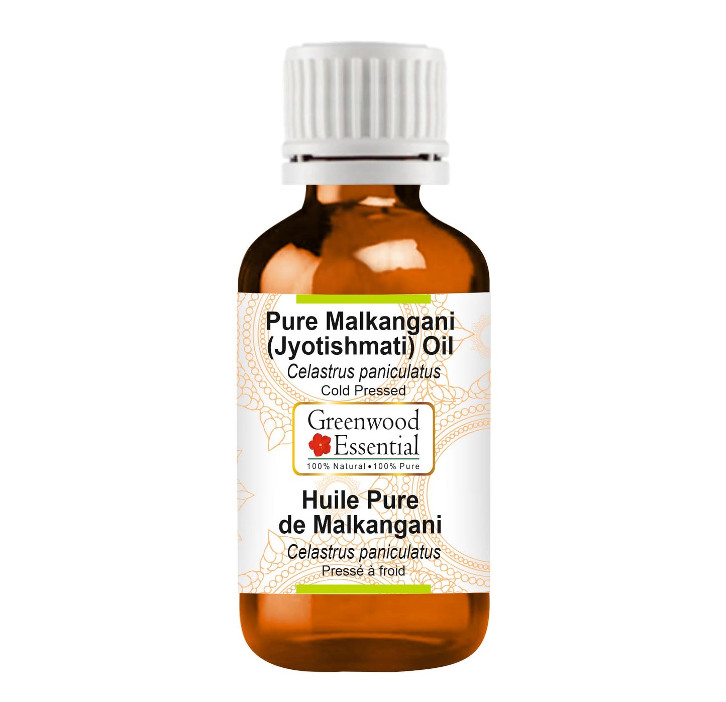 Greenwood Essential Malkangani (Jyotishmati) Oil (Celastrus paniculatus) | Cold Pressed | Natural | For Diluting Essential Oils | Skin & Massage | Unisex | 100ml (3.38 oz)