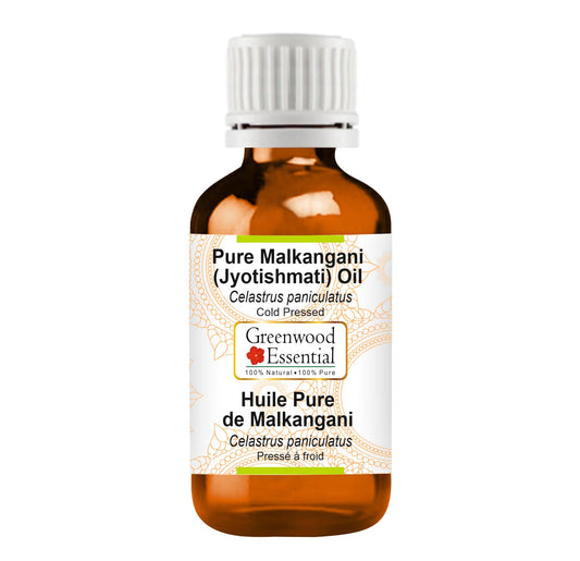 Greenwood Essential Malkangani (Jyotishmati) Oil (Celastrus paniculatus) | Cold Pressed | Natural | For Diluting Essential Oils | Skin & Massage | Unisex | 100ml (3.38 oz)