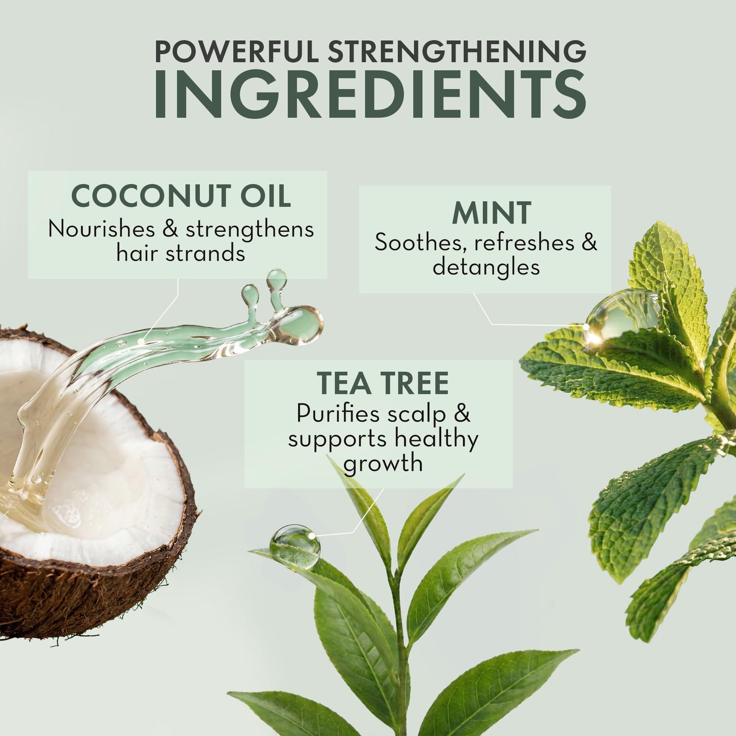 Leave In Conditioner Spray - Tea Tree Scalp Treatment - Anti-Dandruff and Dry & Itchy Scalp Treatment, Hydrating & Medicated Formula for Psoriasis and Scalp Care - Detangles & Nourishes Hair.