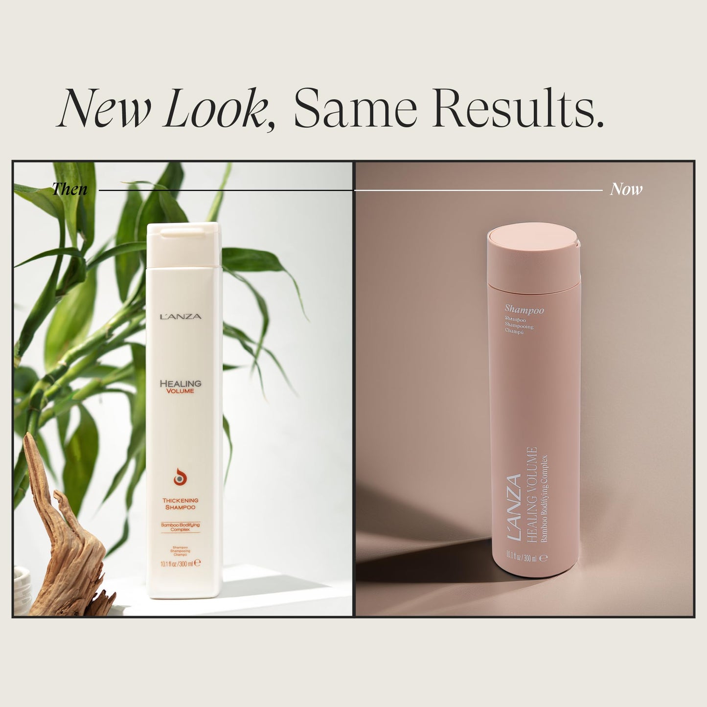 L'ANZA Healing Volume Thickening Shampoo, Boosts Shine, Volume, and Thickness of Fine Flat Hair, Hair Thickening Shampoo Rich With Bamboo and Keratin, Luxury Hair Care (10.1 Fl Oz)
