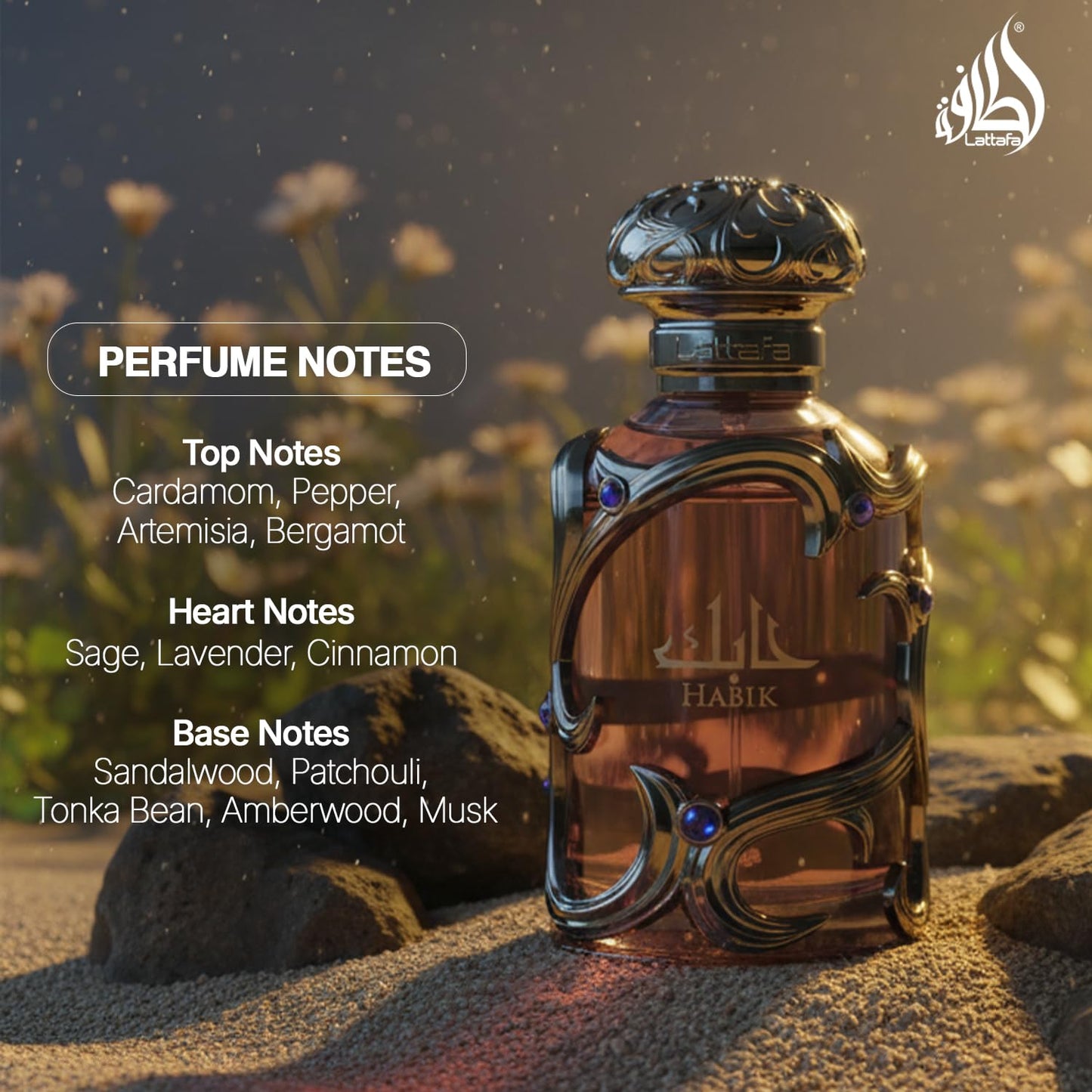 Lattafa Habik – Spicy, Aromatic, Woody, Musky – Eau de Parfum Spray Long-Lasting Fragrance for Men, 3.4 Ounce / 100 ml