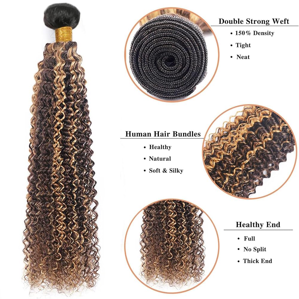 T1BP4/30 Brown Straight Human Hair Bundles Ombre Light Brown and Dark Brown Human Hair 3 Bundles 8 10 12 Inch Unprocessed Brazilian Virgin Remy Soft, Silky, Full,And Comfortable In The Sense Of Touch
