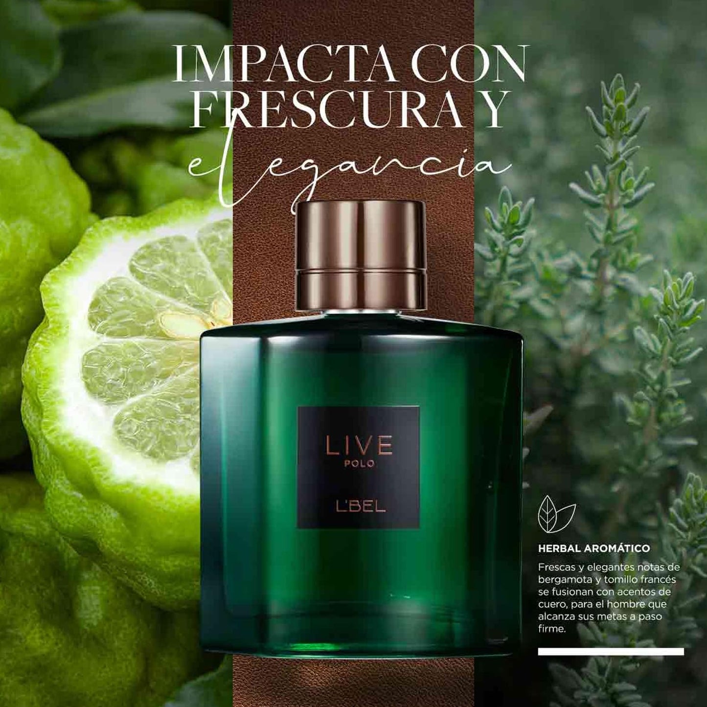 L'Bel – Live Polo Long Lasting Men's Perfume 100 ml/3.4 oz
