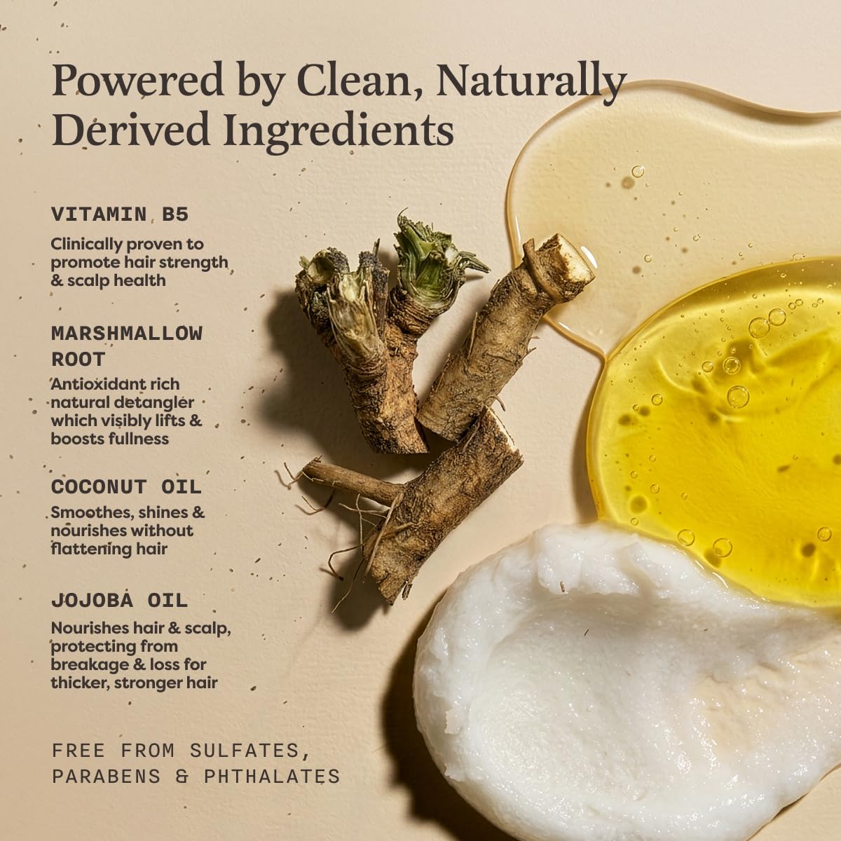 The Earthling Co. Volumizing Shampoo & Conditioner Bar Set For Thickening, Fullness, Strength, and Growth - Sulfate, SIlicone, Paraben Free for Thin, Flat, Fine Hair - Made in USA (Vanilla Coconut)