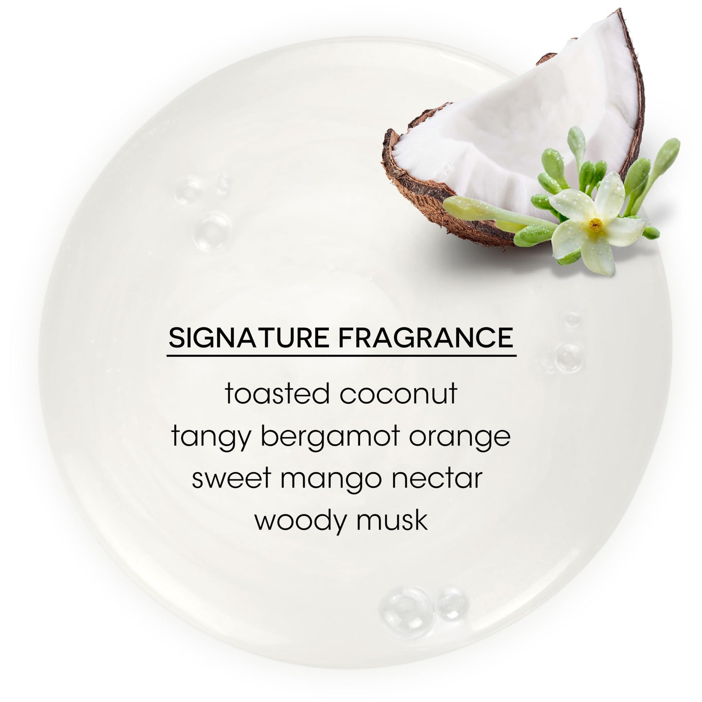 Bain de Terre Ultra Hydrating Shampoo and Conditioner Set | Coconut Papaya | Hydrates Overly Dry | Damaged Hair | Paraben Free | Color-Safe | 13.5 Fl Oz