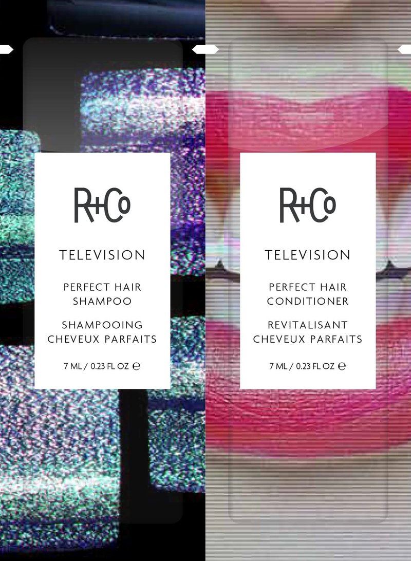 R+Co TELEVISION Perfect Hair Shampoo - Hydrating & Smoothing Cleanser for All Hair Types | Adds Shine & Softness