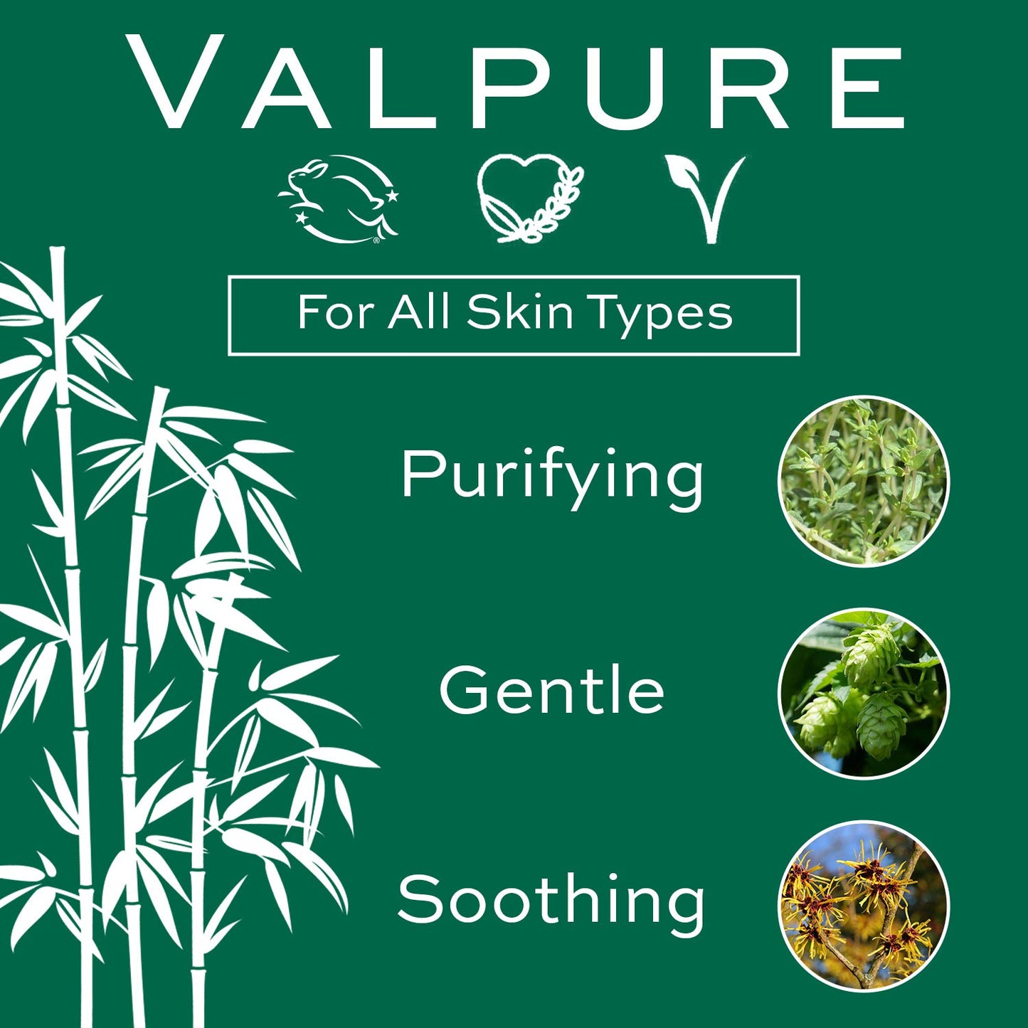 Christine Valmy Valpure Gentle Daily Foaming Facial Cleanser, 4.73 Ounce