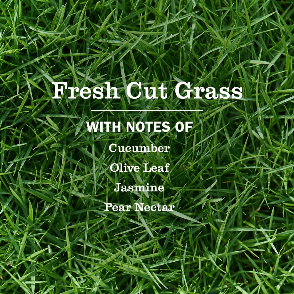 Mrs. MEYER'S Fresh Cut Grass Liquid Hand Soap, 12.5 FL OZ (Pack of 4)