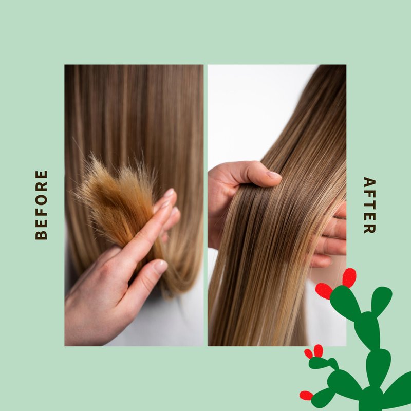 SHAERI Multi-Use Care Oil - Hair Oil for Frizzy Hair - Enriched with Sweet Almond, Macadamia Nut, Safflower Seed, Jojoba, and Prickly Pear - 3.4 oz