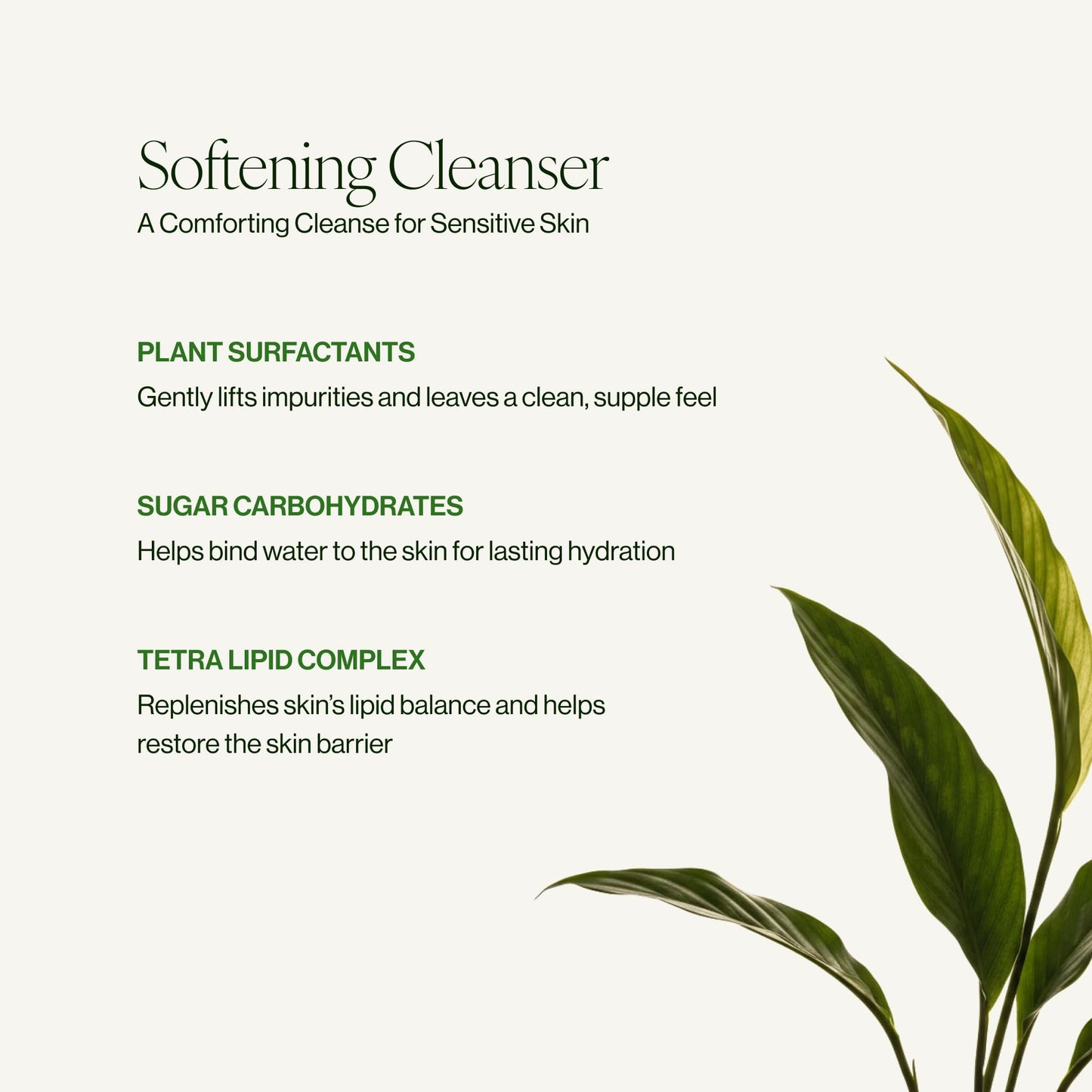 Tata Harper Superkind Softening Cleanser, Gentle Cleanser for Sensitive Skin, Hypoallergenic Skincare, Fragrance Free, Natural Skincare, Dermatologist Tested, Vegan, 125ml