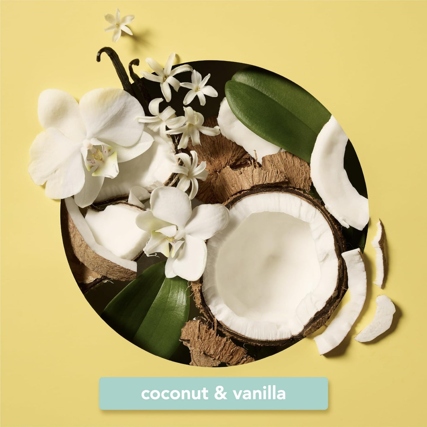 (Pack of 2) Hydrating Shimmer Hair + Body Mist, Coconut Bliss, 6.5 Fl Oz, Scent Notes: Vanilla, Made With Plant-Based Squalane And Coconut Oil