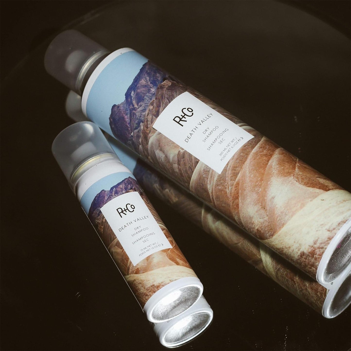 R+Co Death Valley Dry Shampoo | Adds Volume, Body and Absorbs Oil & Adds Texture | Vegan, Gluten-Free & No Parabens | 6 Ounce (Pack of 1)