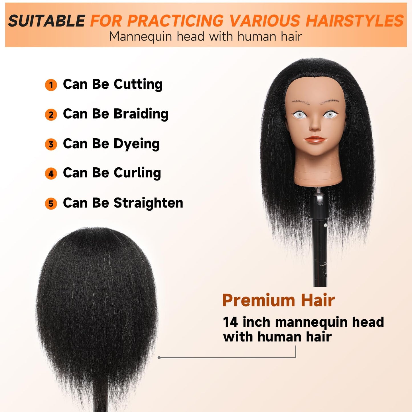 Mannequin Head Human Hair 14 inch Professional Styling Head Mannequin Head with Hair 100% Real Human Hair for Salon Training, Braiding & Cutting Free Adjustable Stand (Designers/Beginners/Schools)