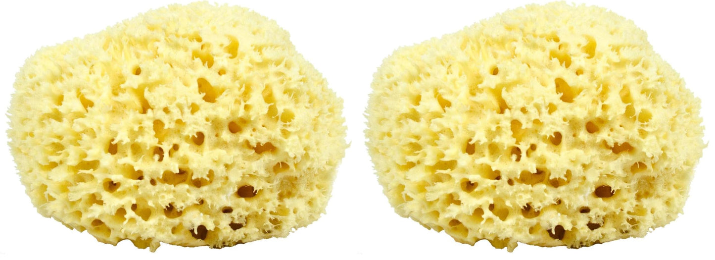 Sea Wool Sponge - All Natural Honeycomb Renewable Sea Sponge, Hand Cut, Jumbo, Approx. 7 Inches (Pack of 2)