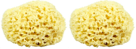 Sea Wool Sponge - All Natural Honeycomb Renewable Sea Sponge, Hand Cut, Jumbo, Approx. 7 Inches (Pack of 2)