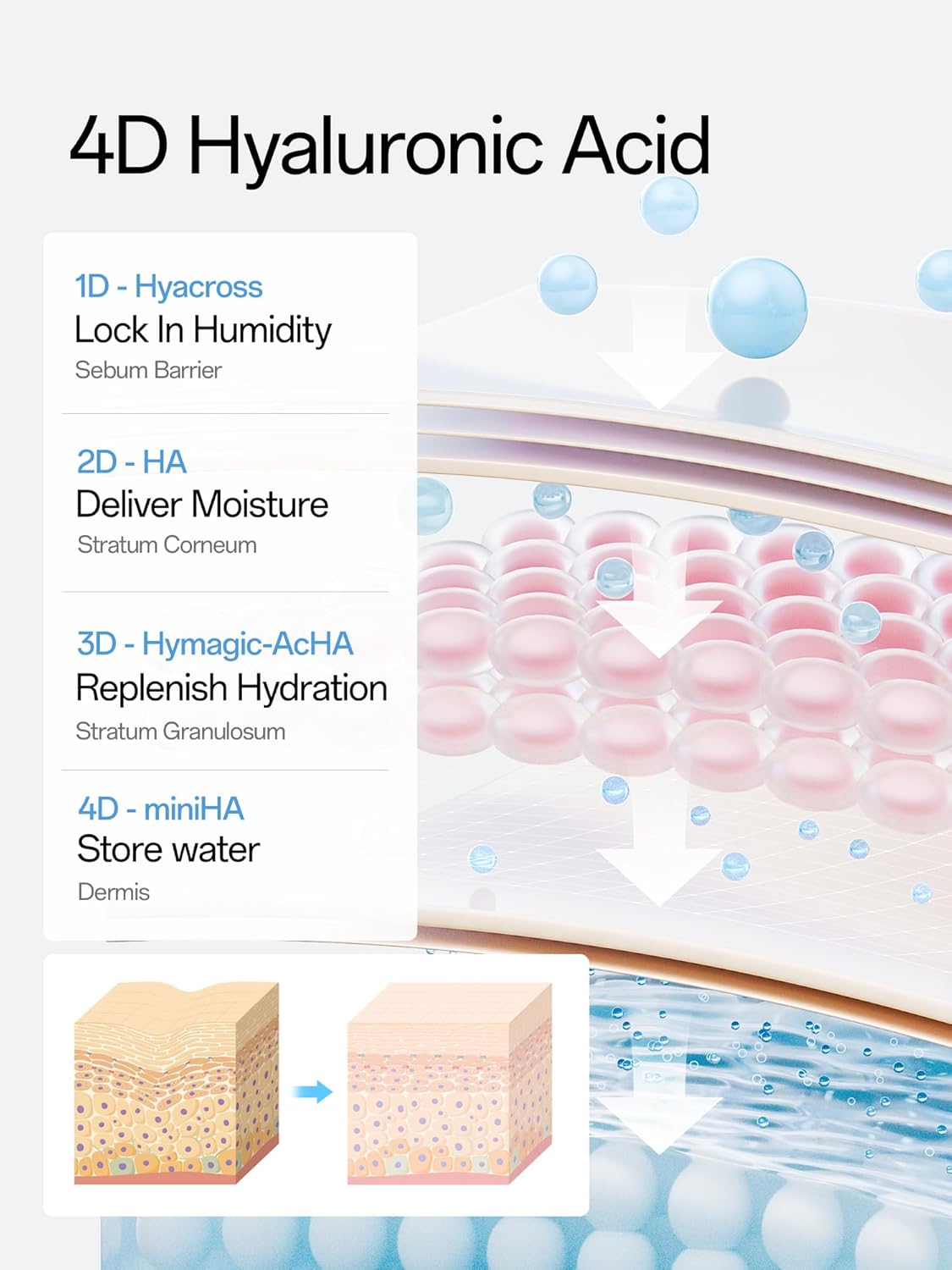 Hyaluronic Acid Serum 3% for Face - Ultra Hydrating Anti-Aging Moisturizer | 10 Single-Use Vials