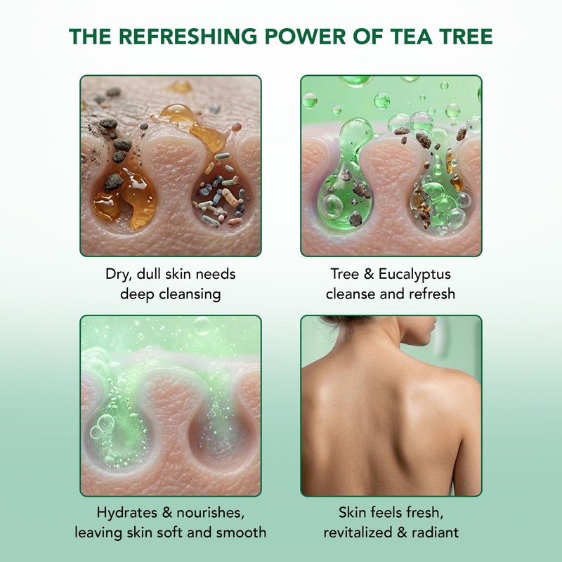 Botanic Hearth Eucalyptus & Tea Tree Body Wash – Refreshing & Invigorating Shower Gel for Men & Women, Helps Soothe Skin, Sulfate & Paraben Free – 16 fl oz