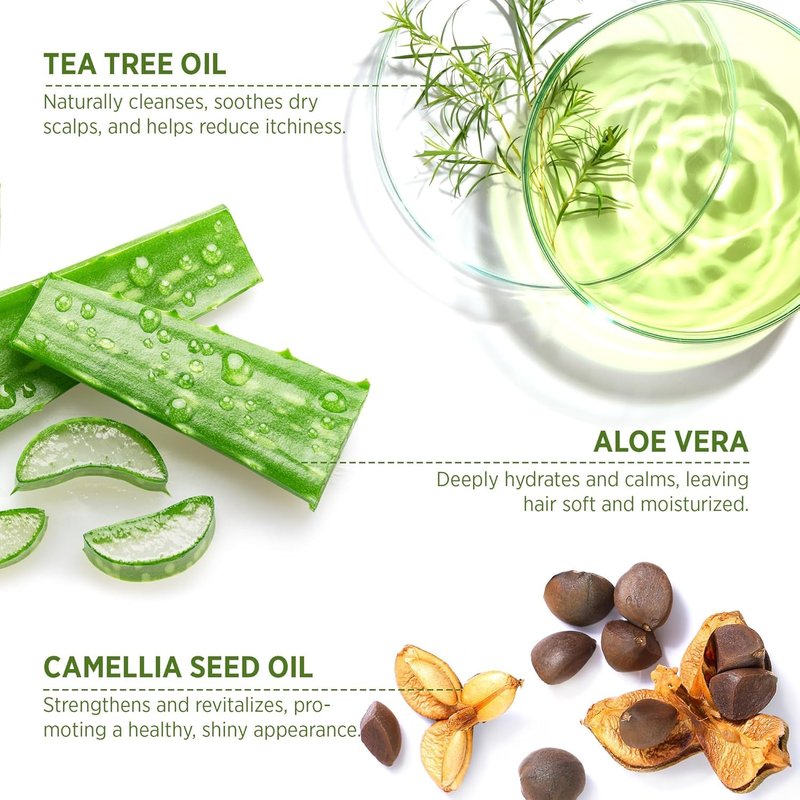 Roycederm Tea Tree Antifungal Shampoo and Conditioner: Complete Scalp Care Solution for Folliculitis, Dry, Itchy, and Flaky Scalp - Infused with Tea Tree Oil, Paraben & Sulfate Free