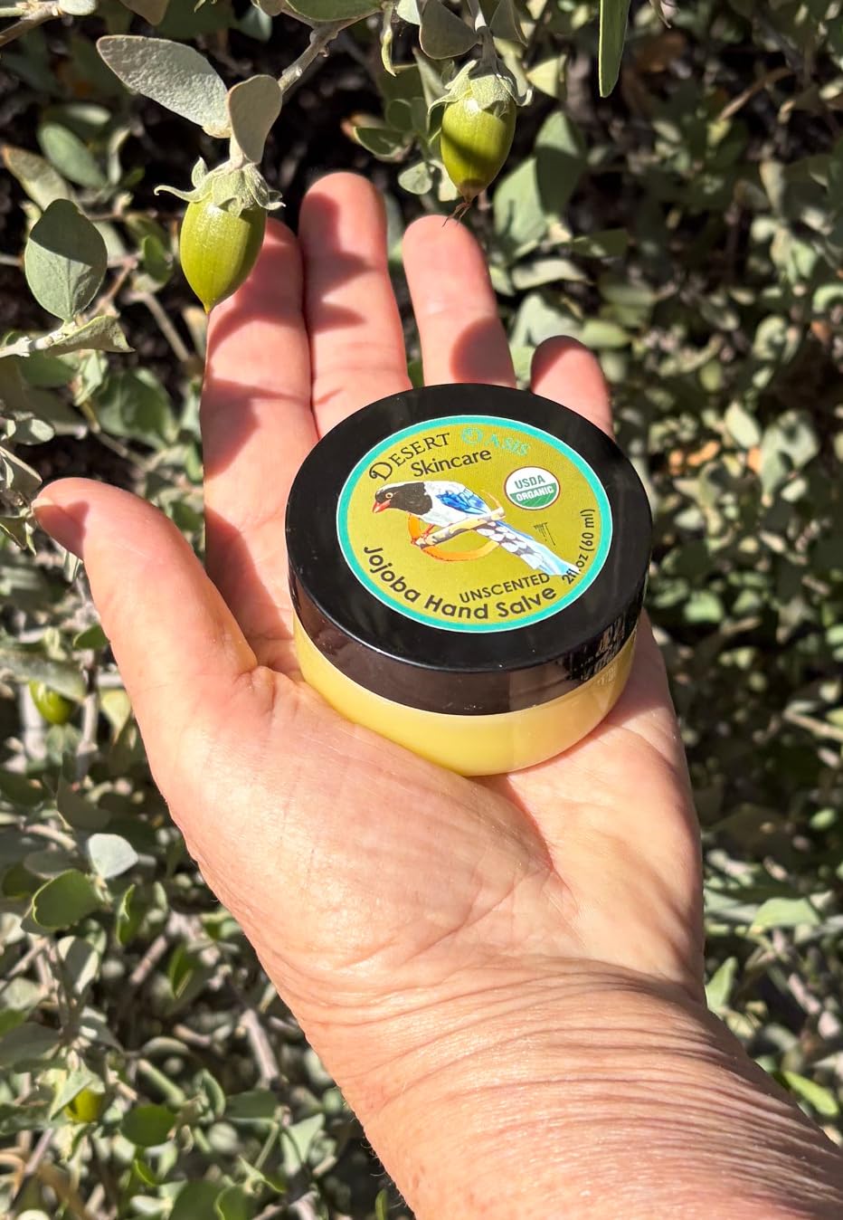 Desert Oasis Skincare | USDA Organic Unscented Hand Salve – Over 50% Jojoba Oil with Beeswax & Avocado Oil – Fragrance-Free Rich Conditioning Balm for Sensitive Skin, Dry Hands & Cuticles 2 oz (60g)