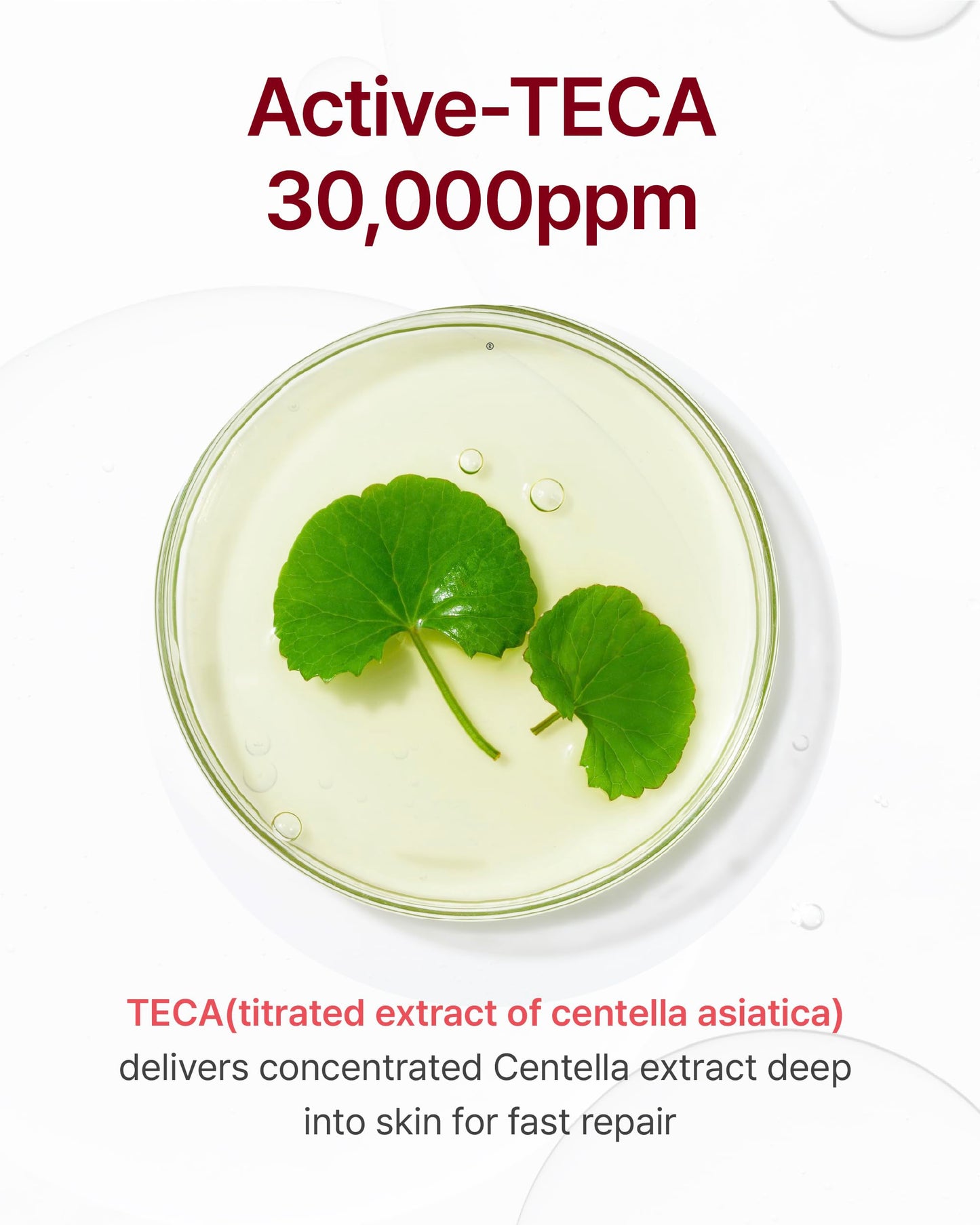 CENTELLIAN 24 Madeca Derma Face Mask (10pc) + Cream Time Reverse (Season 7, 1.69fl oz) - Korean Skin Care for Soothing, Hydration & Nourishing, with TECA, Centella Asiatica & Madecassoside