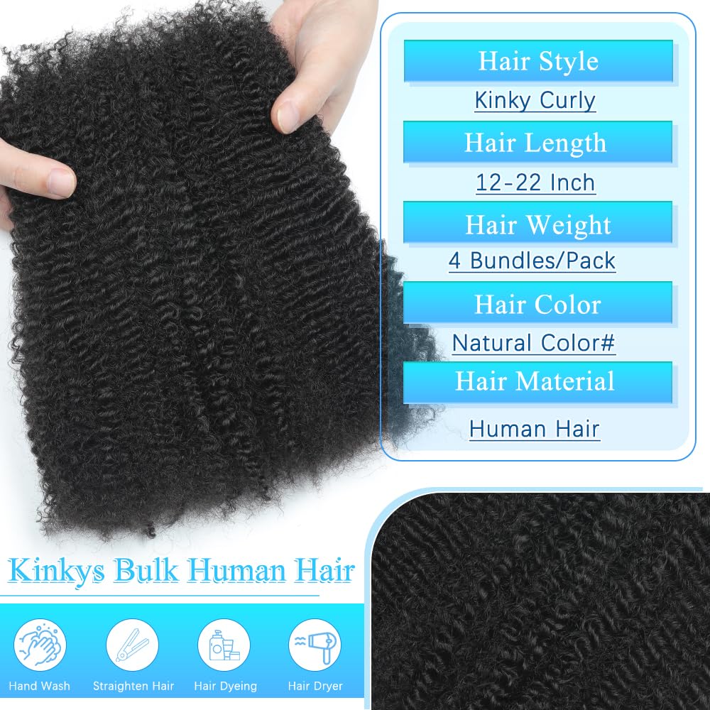 Afro Kinkys Bulk Human Hair 16 Inch 4 Bundles Afro Kinky-curly Human Braiding Hair Bulk for Spring Hair Twist Dreadlock Extensions Locs Braids Repair 70g Natural Color#