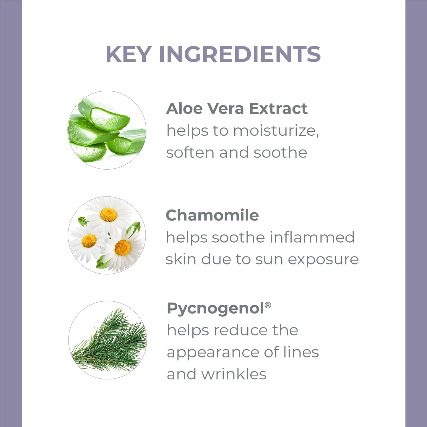 DERMA-E Vitamin E Fragrance Free Sensitive Skin Shea Hand Repair Cream – Intensive Therapy Hand Cream – Cruelty Free Unscented Hand Lotion for Dry or Cracked Skin, 2 oz