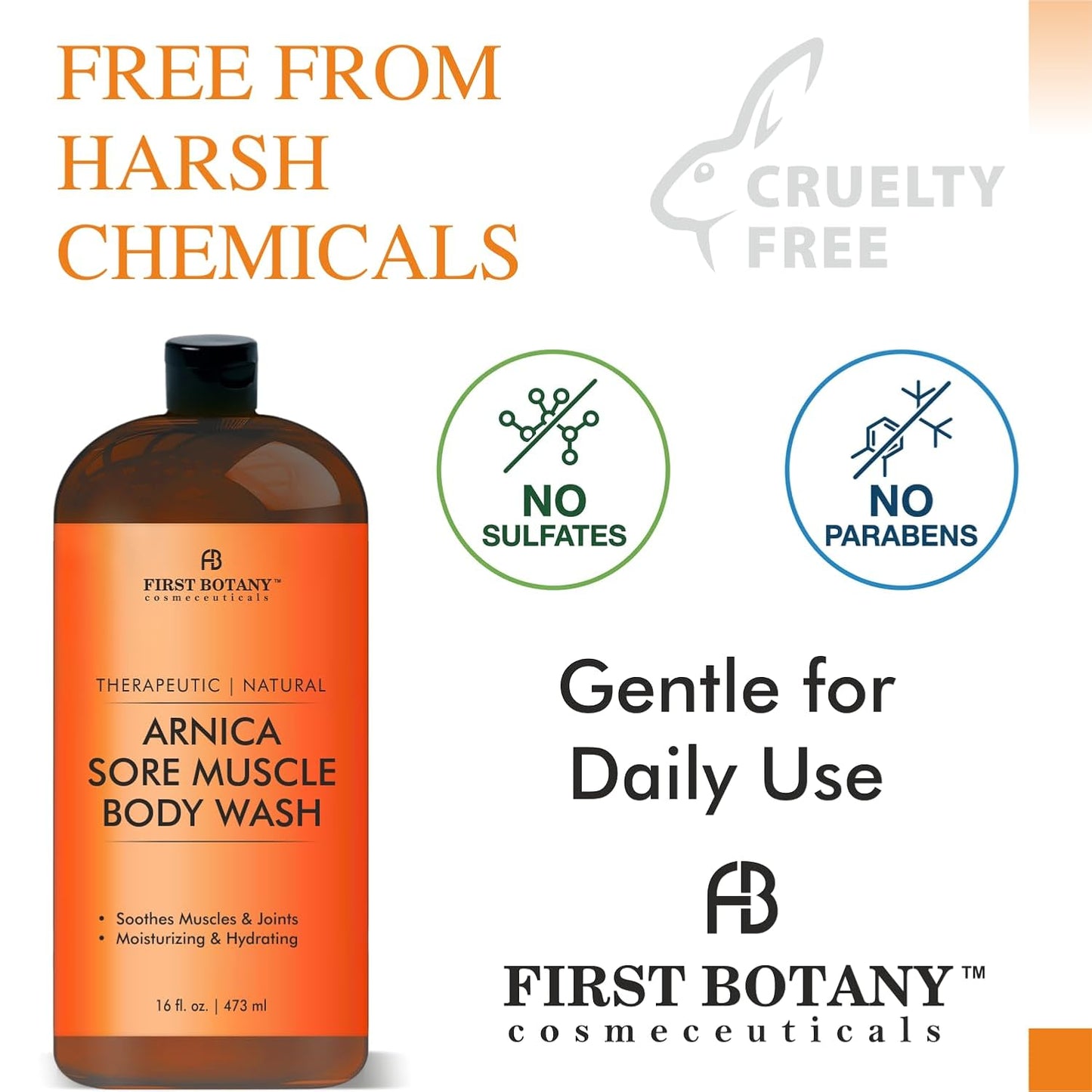 Natural Body Wash - All-Natural Skin Cleanser for Body Odor, Athlete's Foot, Jock Itch, and More | 16 fl oz (Arnica)