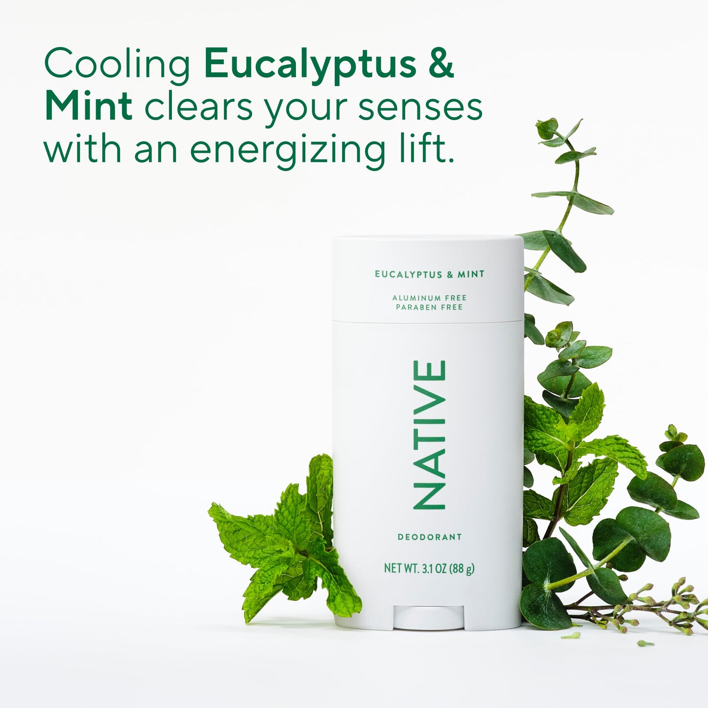 Native Aluminum Free Deodorant, Eucalyptus & Mint, Large Size Stick, 72 Hour Odor Control, for Women & Men, Contains Naturally Derived Ingredients, 3.1 oz