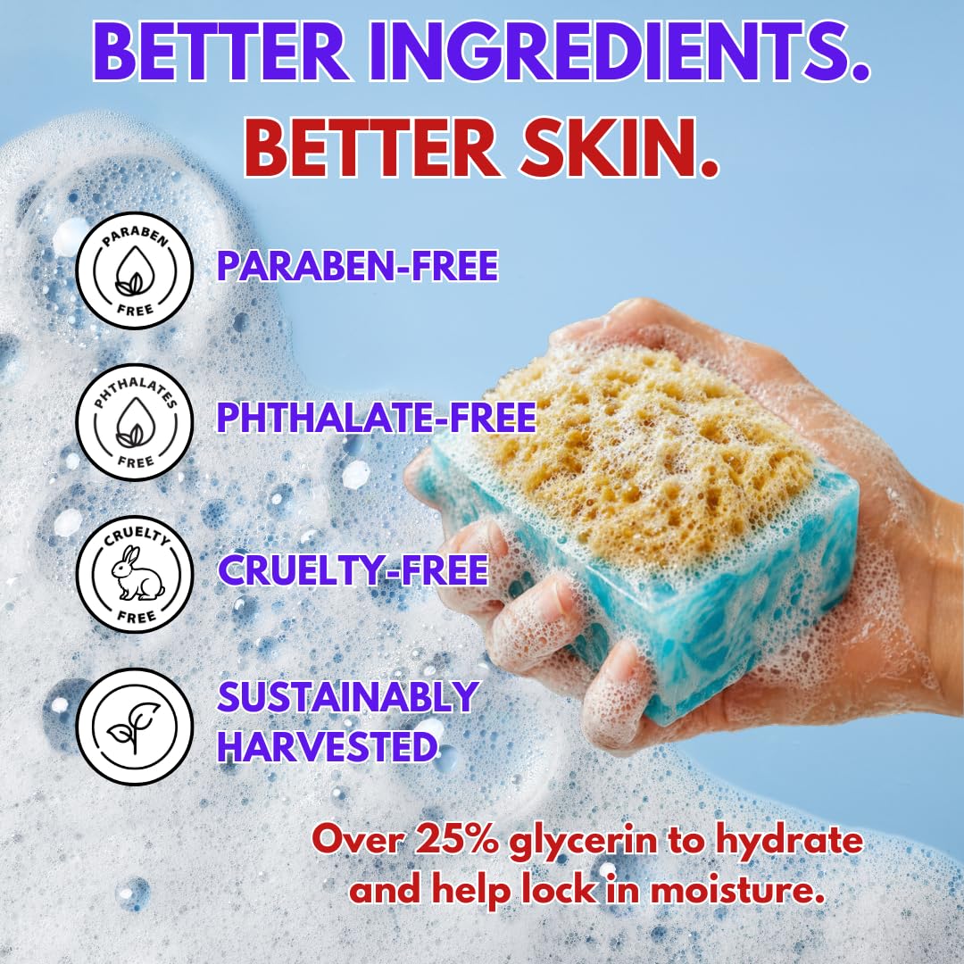 Primal Elements Facets of the Sea SpongeBar Soap (Pack of 2)