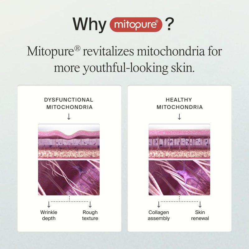 Timeline Mitopure™ Firming Serum Anti-Aging Treatment With Antioxidants - Lifting, Brightening, Hydrating & Wrinkle Reducing For All Skin Types - 1 Fl Oz