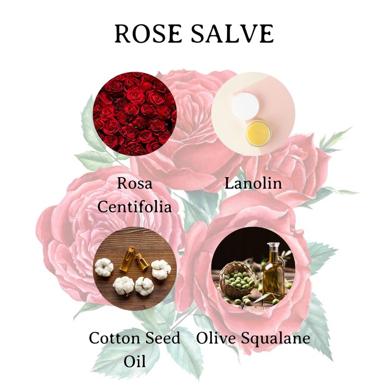 C.O. Bigelow Rose Salve Tins, Pack of 3 Lip Balm Tins, All Purpose Salve for Lips, Cuticles, Hands & Dry Skin, Lip Balm Set, 0.8 oz