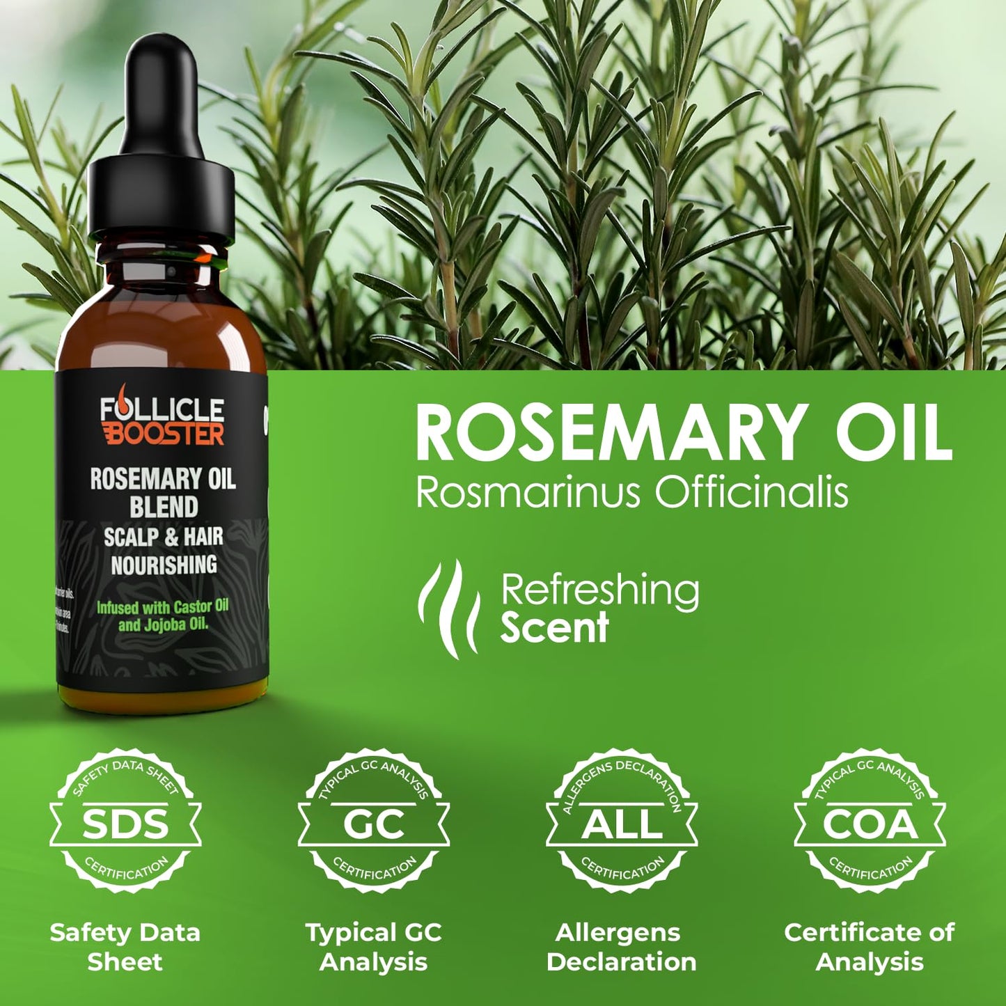 Follicle Booster Rosemary Oil Blend - Mint, Castor, Jojoba & Biotin added - Supports Hair Growth, Strengthens Follicles, Nourishes Scalp - For Adults & Teens - 6 Pack