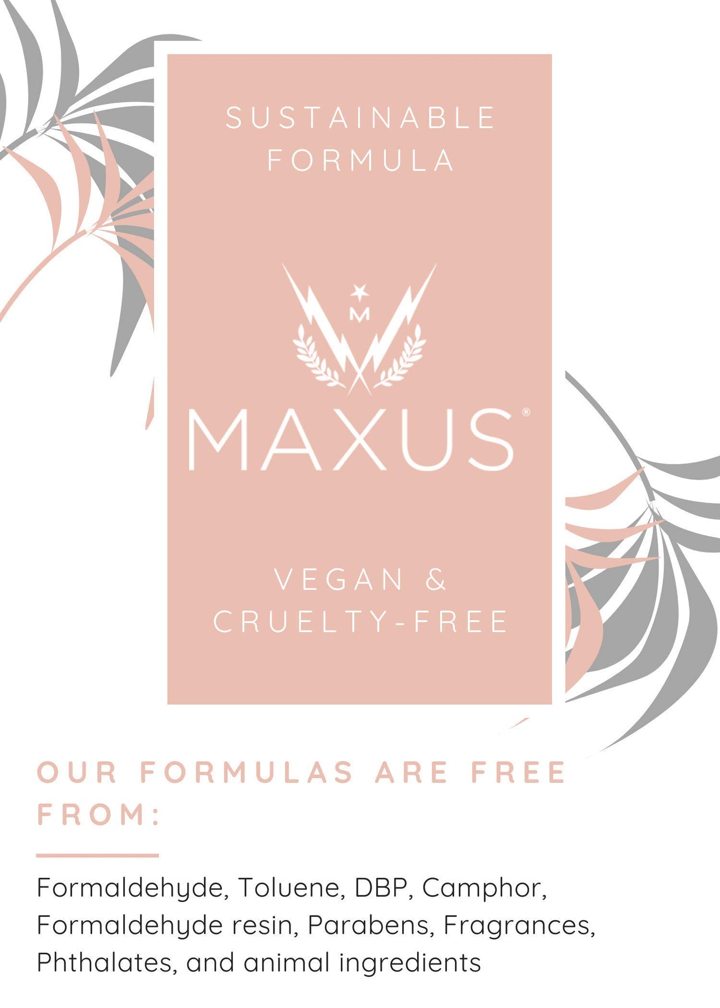 Maxus Base + Top Bundle
