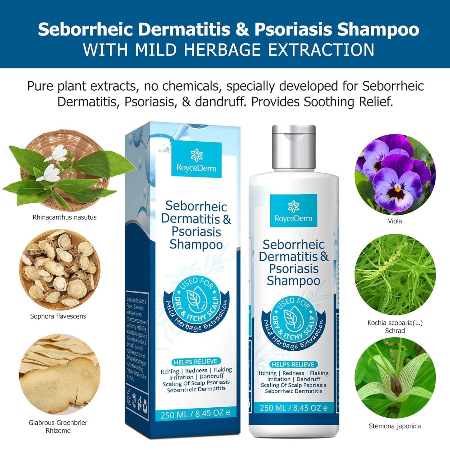 Roycederm Seborrheic Dermatitis & Psoriasis Shampoo for Dandruff - Helps Relieve Itching, Flaking & Scaling, Dry Itchy Scalp