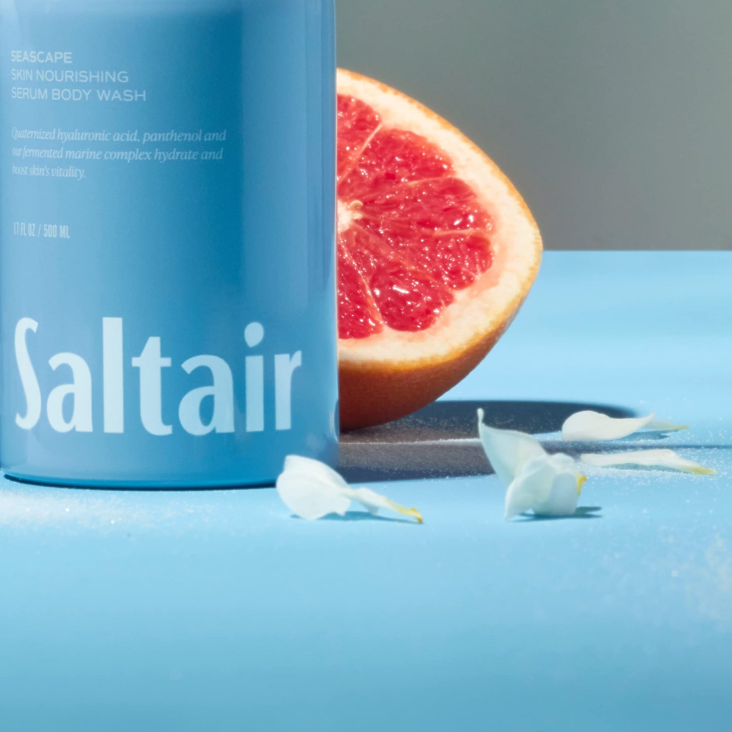 Saltair - Body Wash (Seascape) (Pack of 1), 17.0 Fl Oz